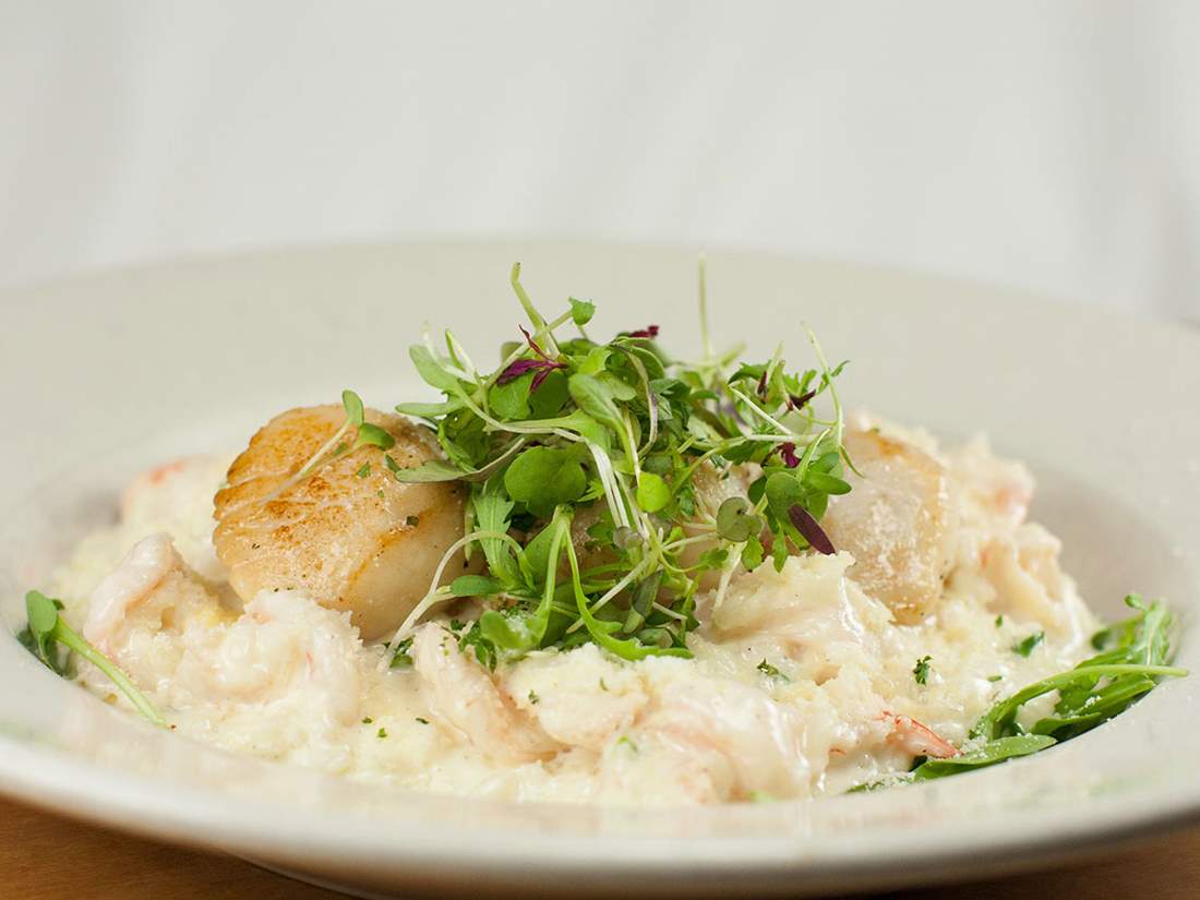 Scallops
